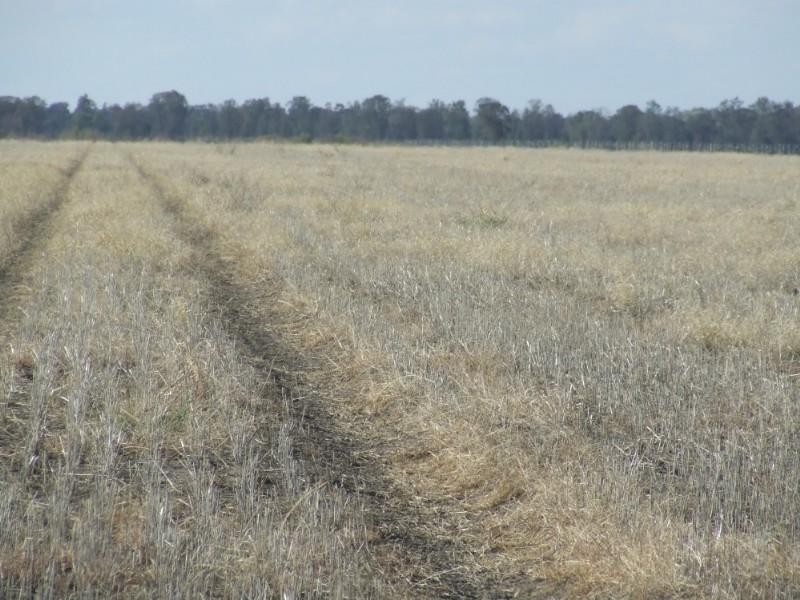 Goondiwindi QLD 4390