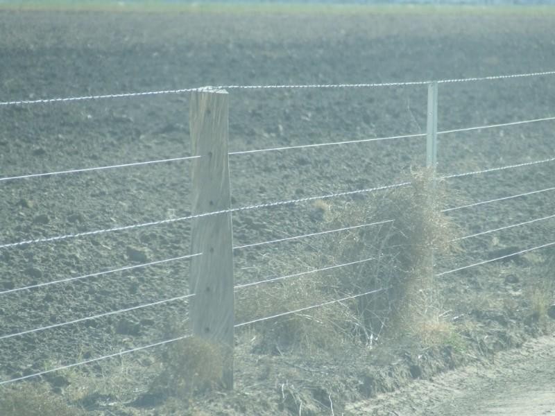 Goondiwindi QLD 4390