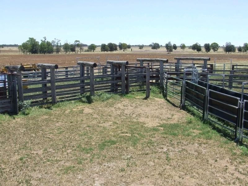 Goondiwindi QLD 4390