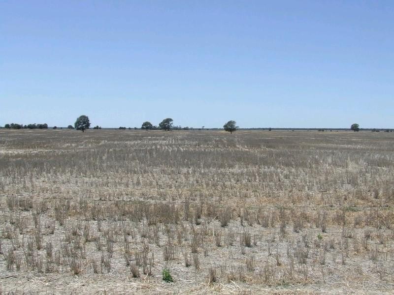 Goondiwindi QLD 4390