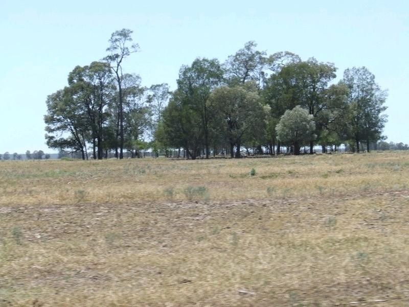 Goondiwindi QLD 4390