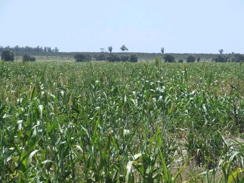 Goondiwindi QLD 4390