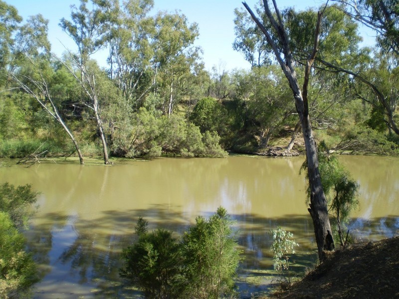 Goondiwindi QLD 4390