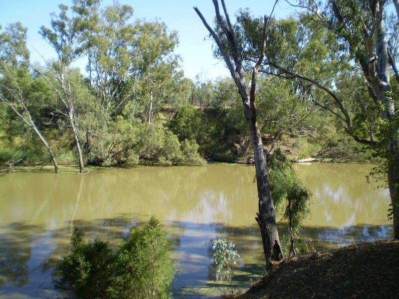 Goondiwindi QLD 4390