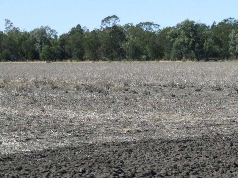 Goondiwindi QLD 4390