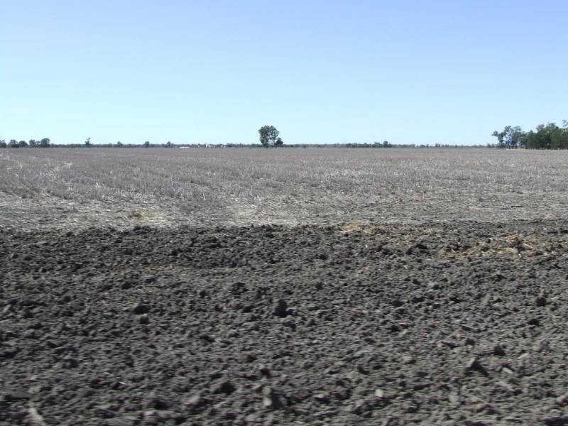 Goondiwindi QLD 4390