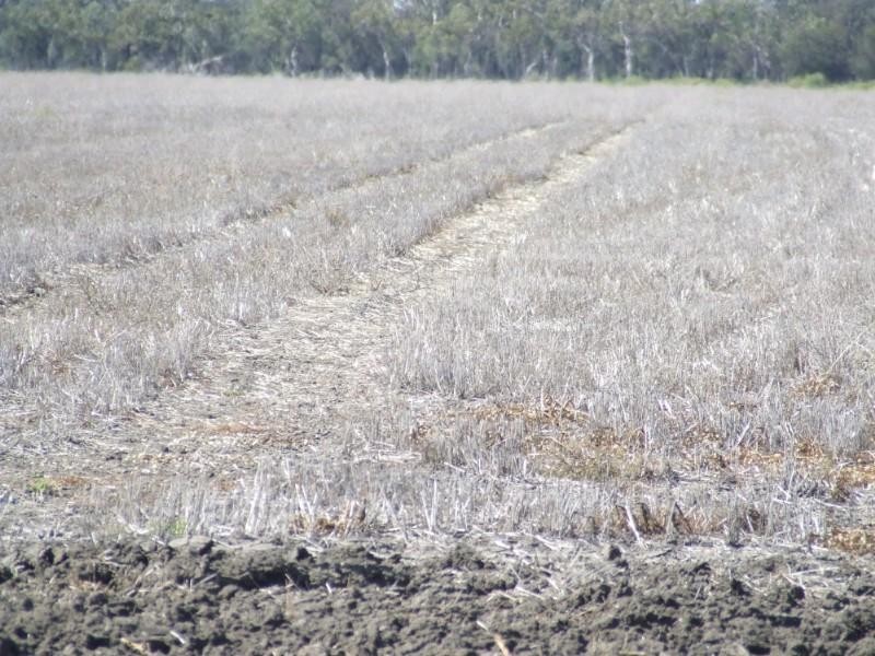 Goondiwindi QLD 4390