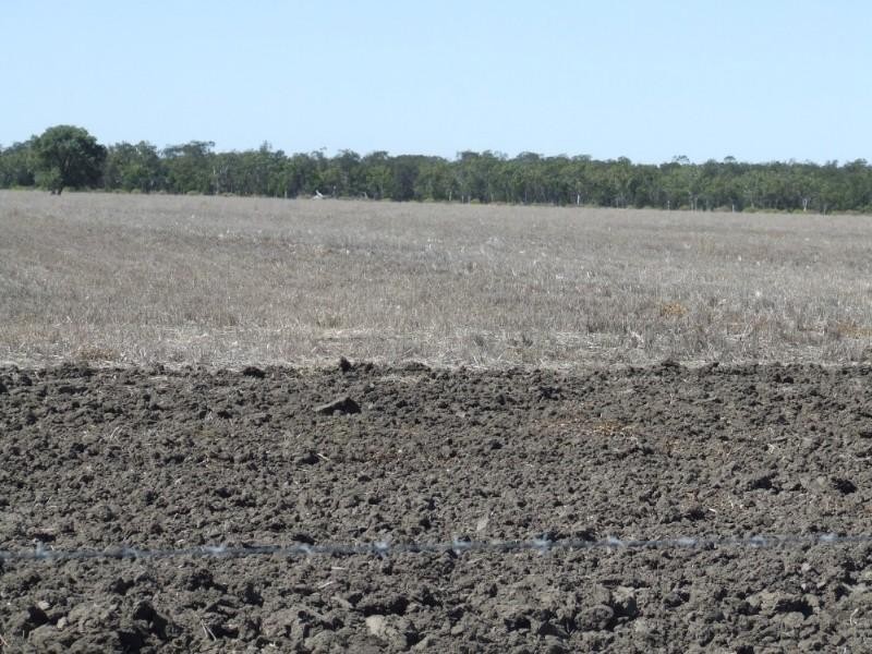Goondiwindi QLD 4390