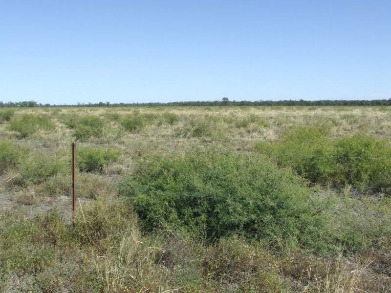 Goondiwindi QLD 4390