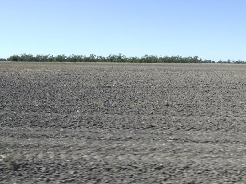 Goondiwindi QLD 4390