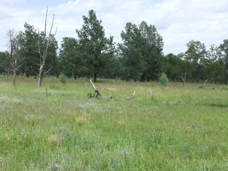 Goondiwindi QLD 4390