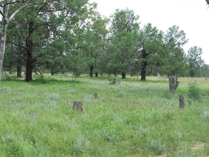 Goondiwindi QLD 4390