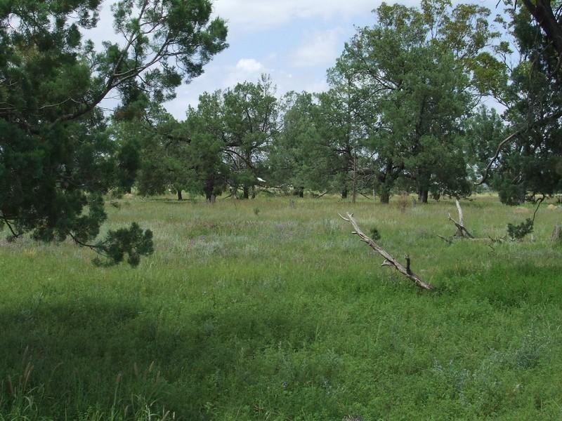 Goondiwindi QLD 4390