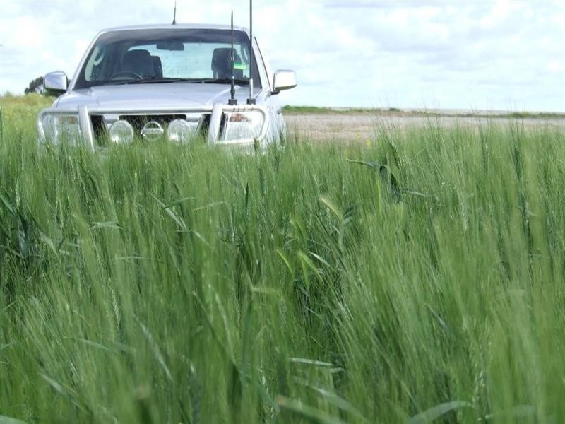 878 Blue Nobby Road, North Star NSW 2408