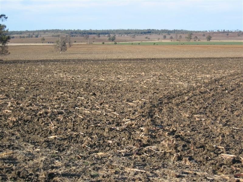 878 Blue Nobby Road, North Star NSW 2408