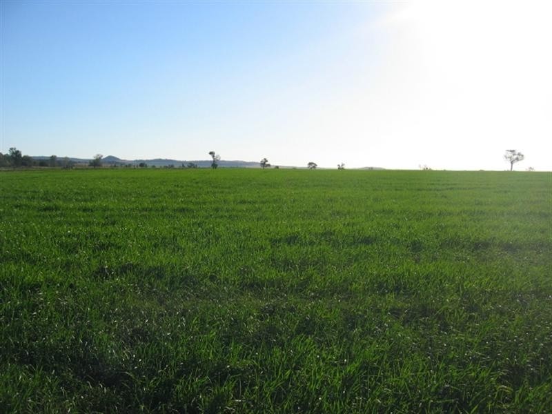 878 Blue Nobby Road, North Star NSW 2408