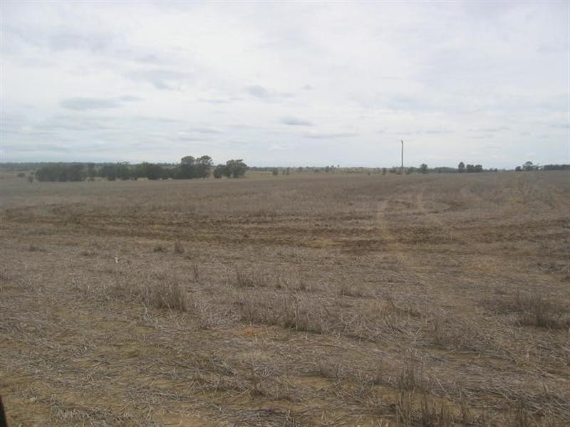 878 Blue Nobby Road, North Star NSW 2408