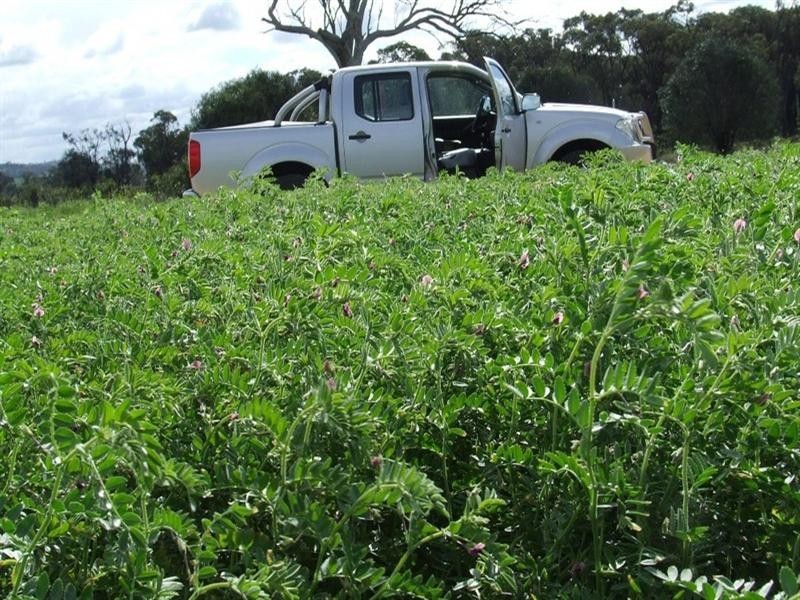 878 Blue Nobby Road, North Star NSW 2408