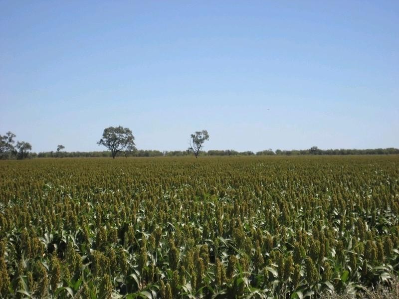 Goondiwindi QLD 4390