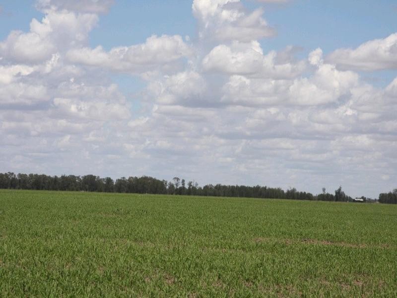 Goondiwindi QLD 4390
