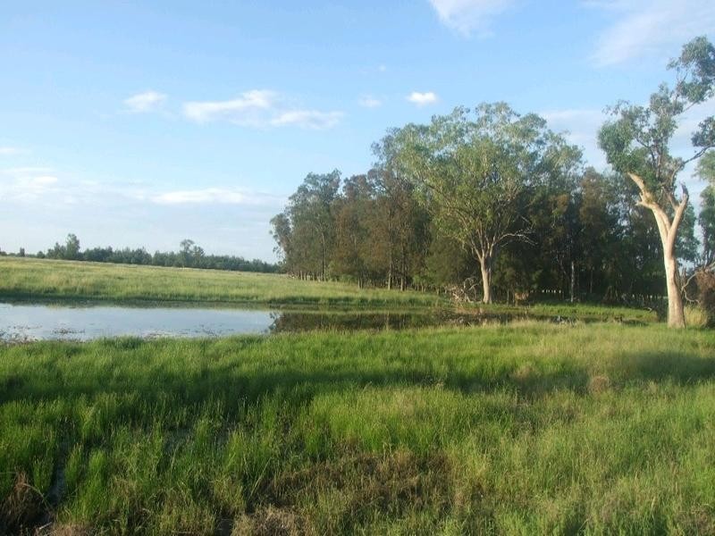 Goondiwindi QLD 4390