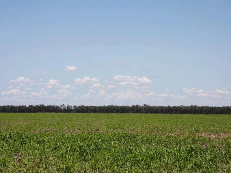 Goondiwindi QLD 4390