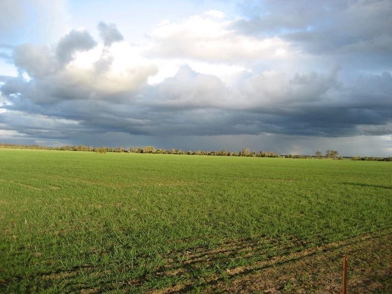 Goondiwindi QLD 4390
