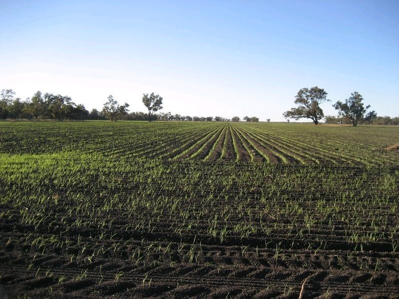 Goondiwindi QLD 4390