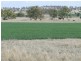 Coolatai NSW 2402