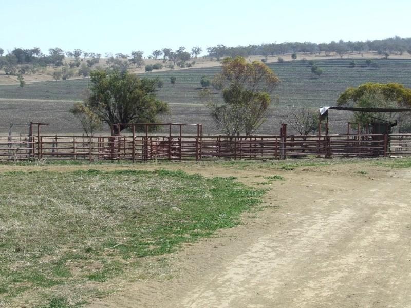 Coolatai NSW 2402