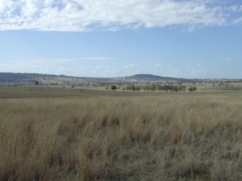 Coolatai NSW 2402