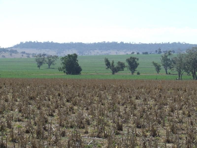 Coolatai NSW 2402