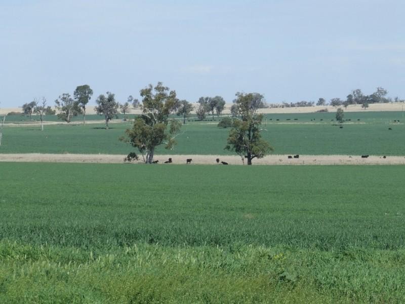 Coolatai NSW 2402