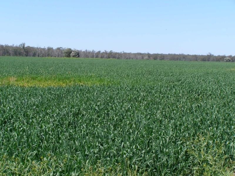 1/5 “Kelanoa”, Moonie QLD 4406