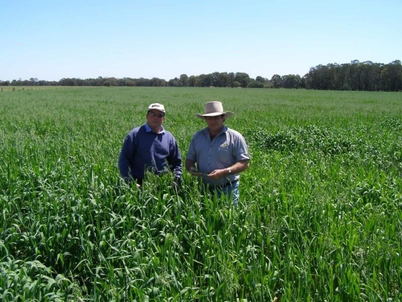 1/5 “Kelanoa”, Moonie QLD 4406