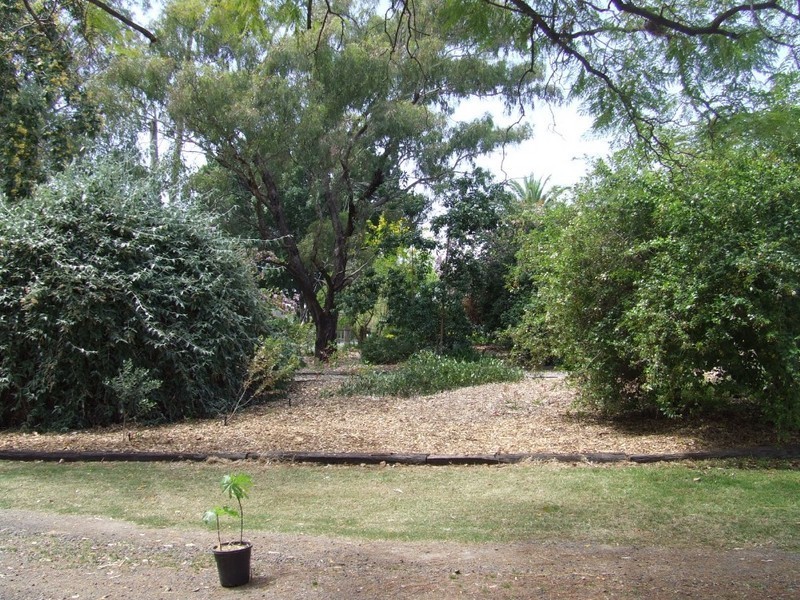 2 Ferguson Street, Goondiwindi QLD 4390