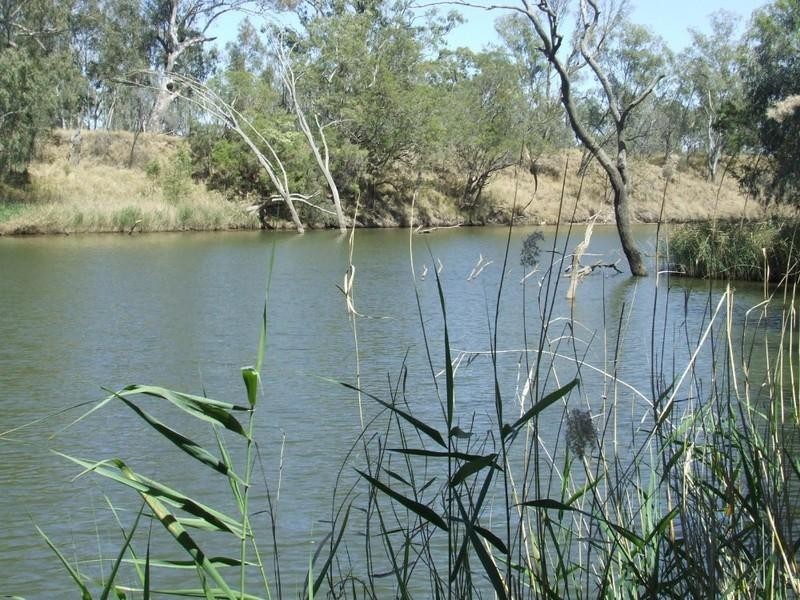 Goondiwindi QLD 4390