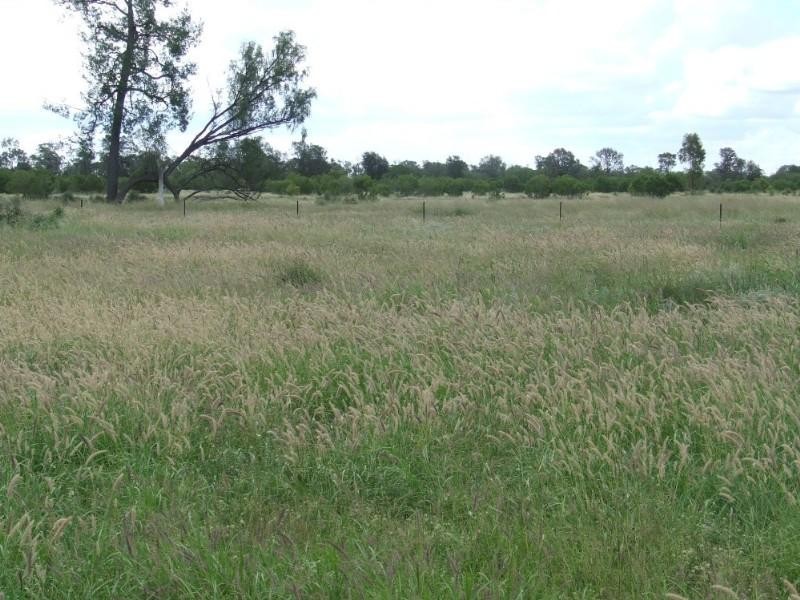 Goondiwindi QLD 4390