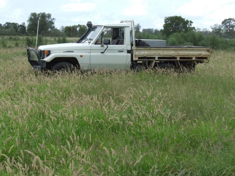 Goondiwindi QLD 4390