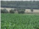 Millmerran QLD 4357