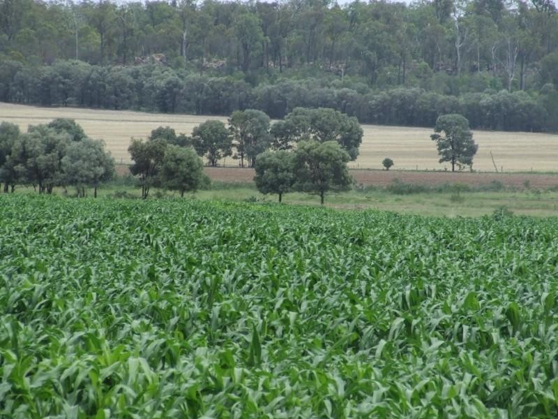 Millmerran QLD 4357