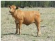 Millmerran QLD 4357