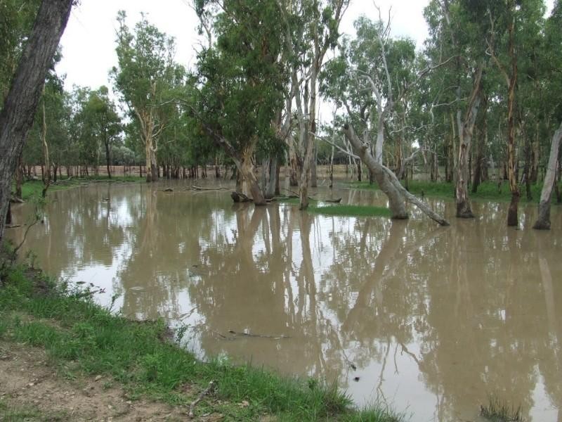 Millmerran QLD 4357