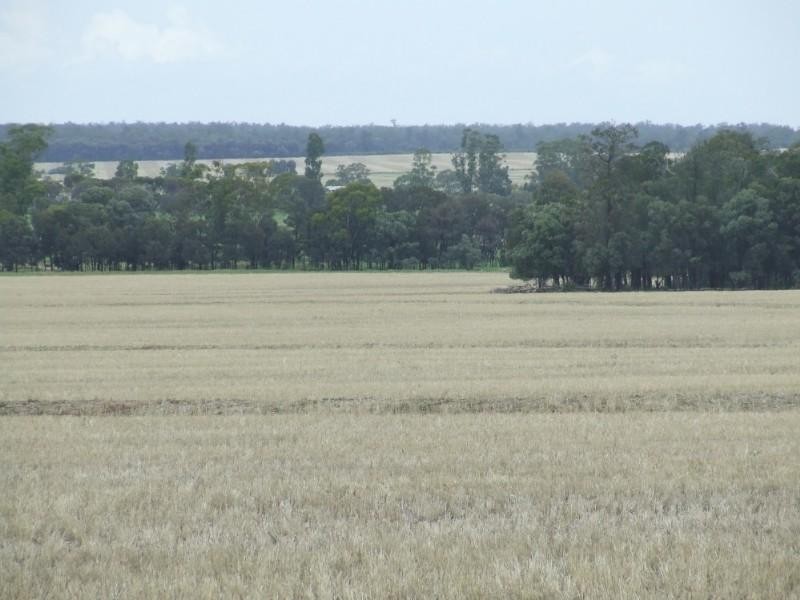 Millmerran QLD 4357