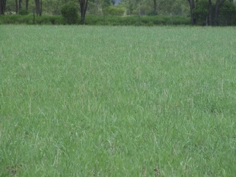 Millmerran QLD 4357