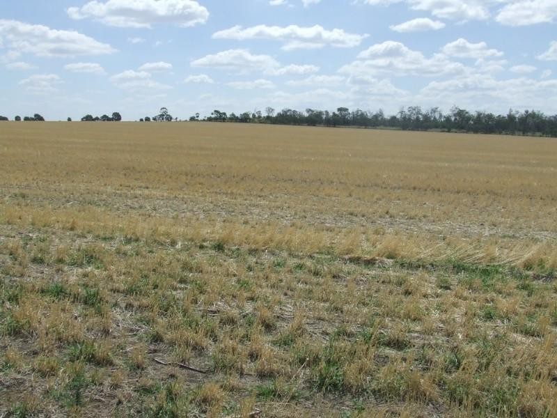 Millmerran QLD 4357