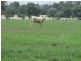 Millmerran QLD 4357