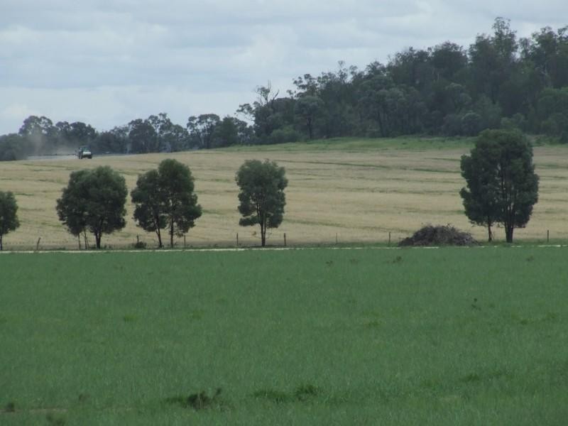 Millmerran QLD 4357
