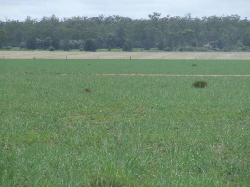 Millmerran QLD 4357