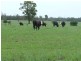 Millmerran QLD 4357